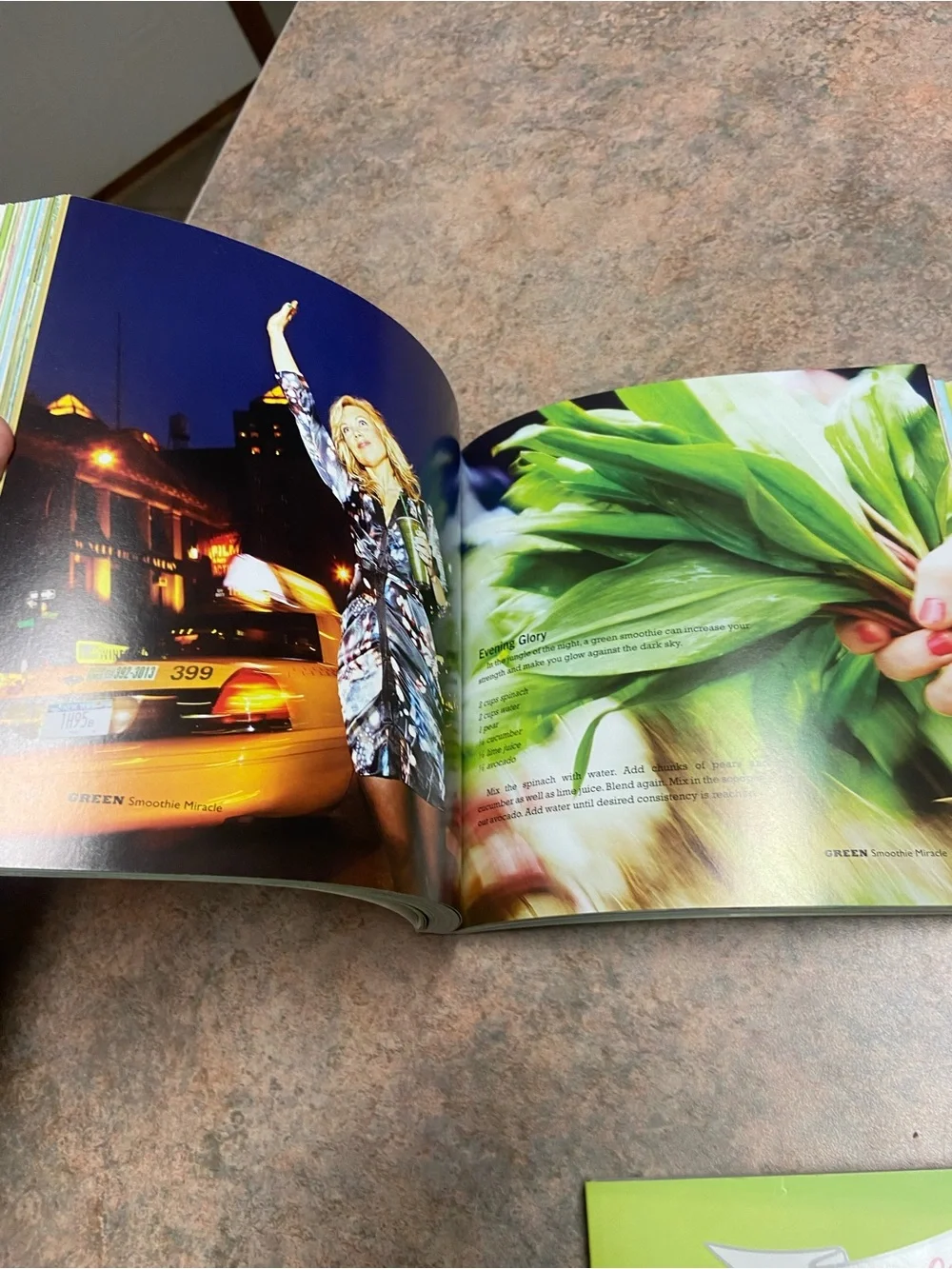 Smoothie Cookbook lot
